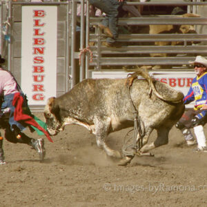 Keeping the Bull Away - Ellensburg Rodeo; featured on Shutterbug Magazine's Facebook page