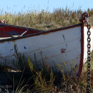 Old Row Boat - found near Port Townsend, WA; 'Editor's Pick' from BetterPhoto.com