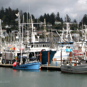 Newport Fishing Boats - Oregon